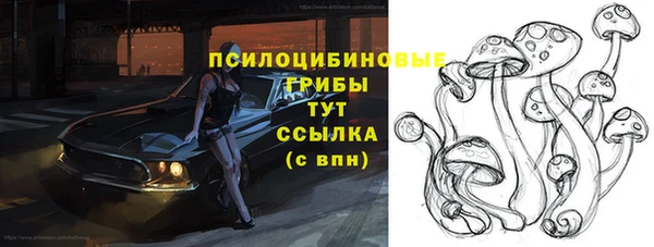 круглые Аркадак