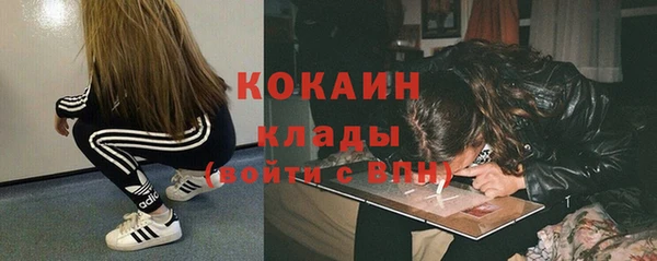 прущие грибы Арсеньев